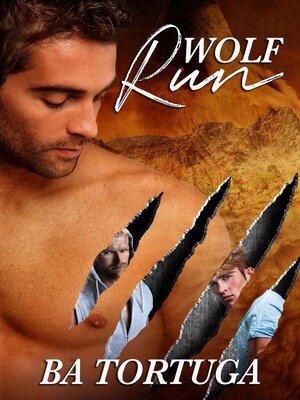 cover image of Wolf Run